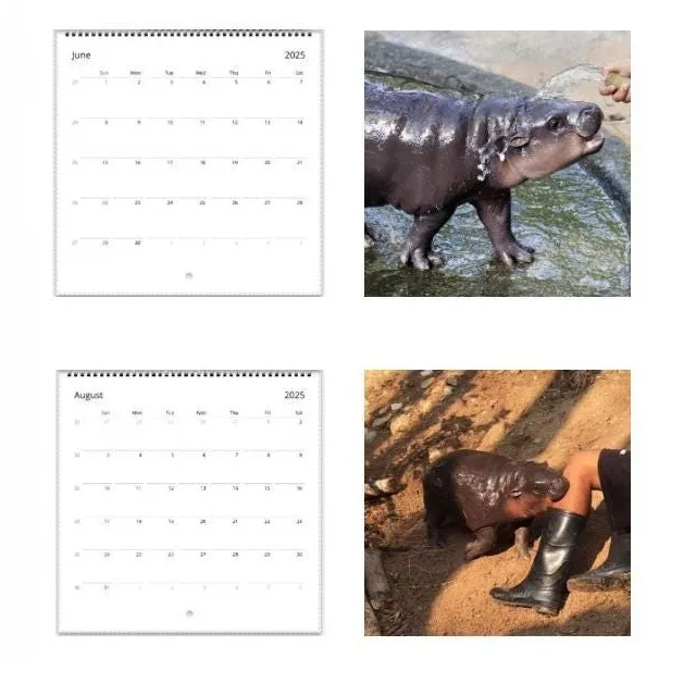 🔥Moo Deng Calendar | Trendy Viral Christmas Gift