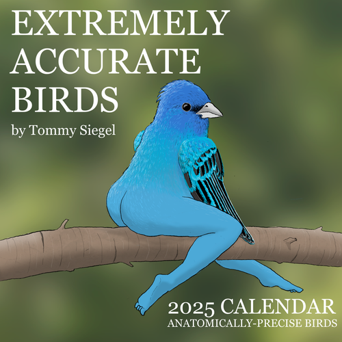 2025 Extremely Accurate Bird Calendar🐦
