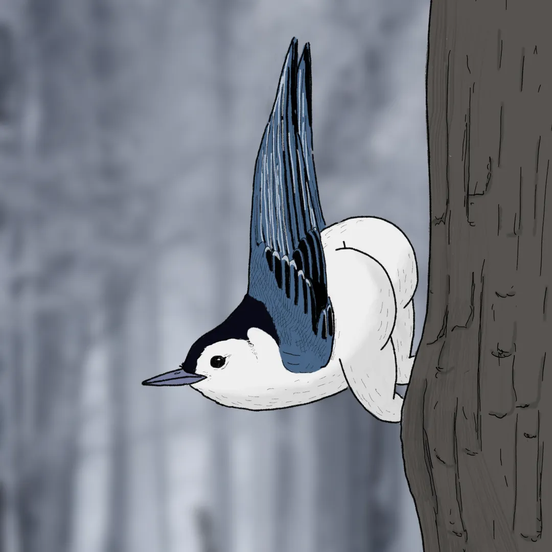 2025 Extremely Accurate Bird Calendar🐦