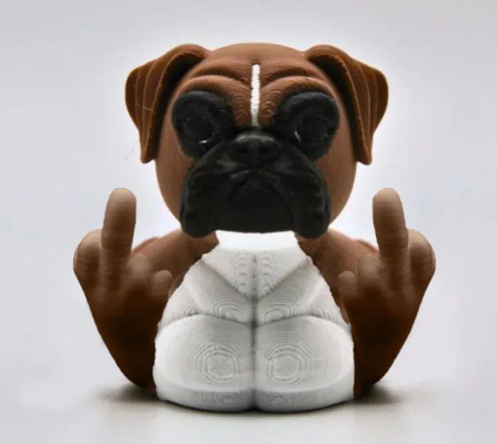 🤣Middle Finger Boxer Duck