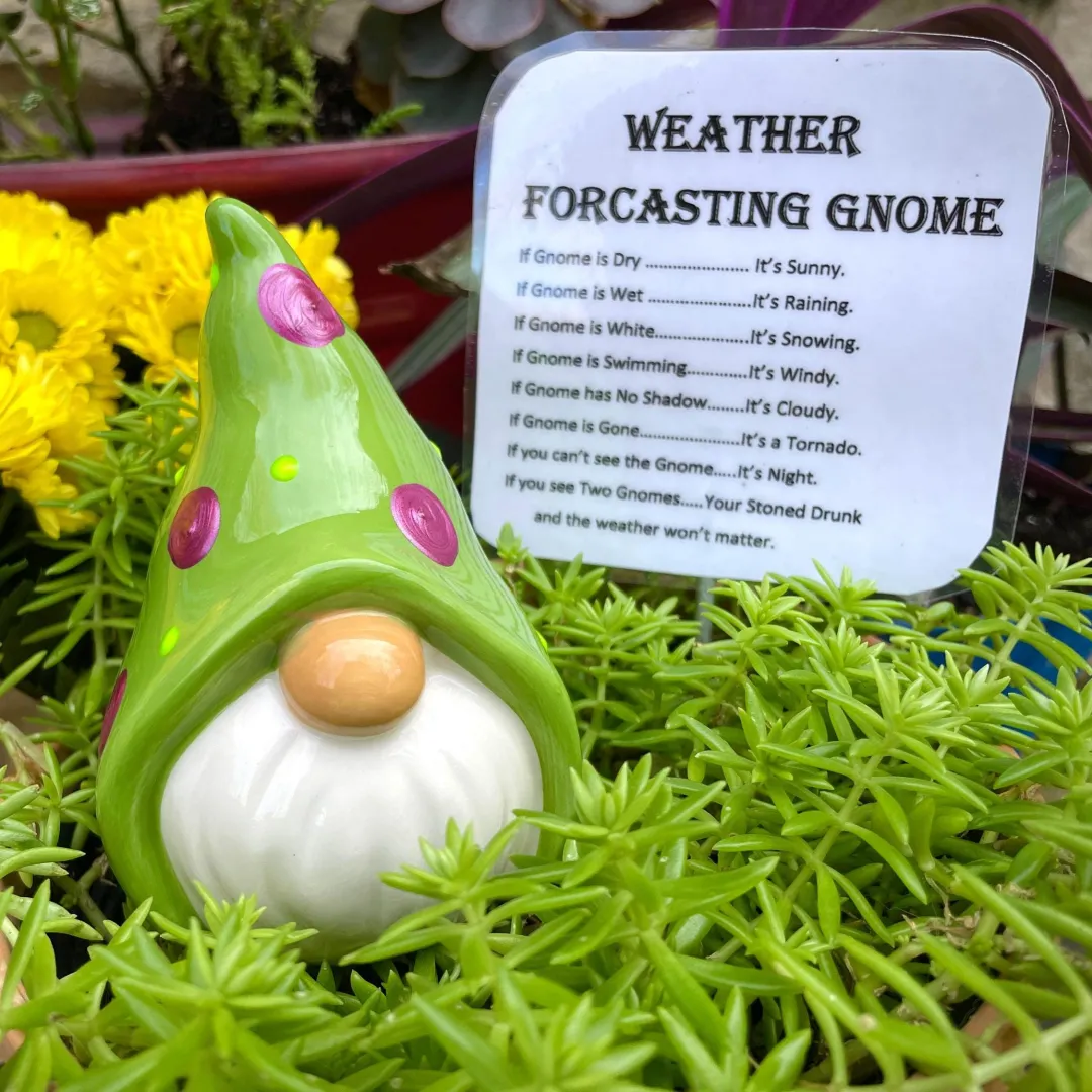 ⛅Funny Weather Forecasting Gnome
