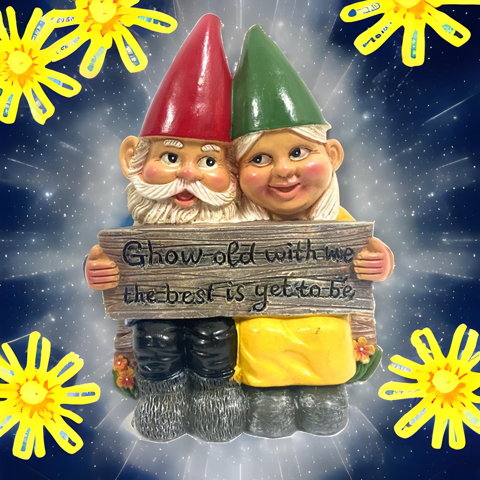 ✨Hot Sale 50% Off✨Naughty Garden Gnome Funny Statue