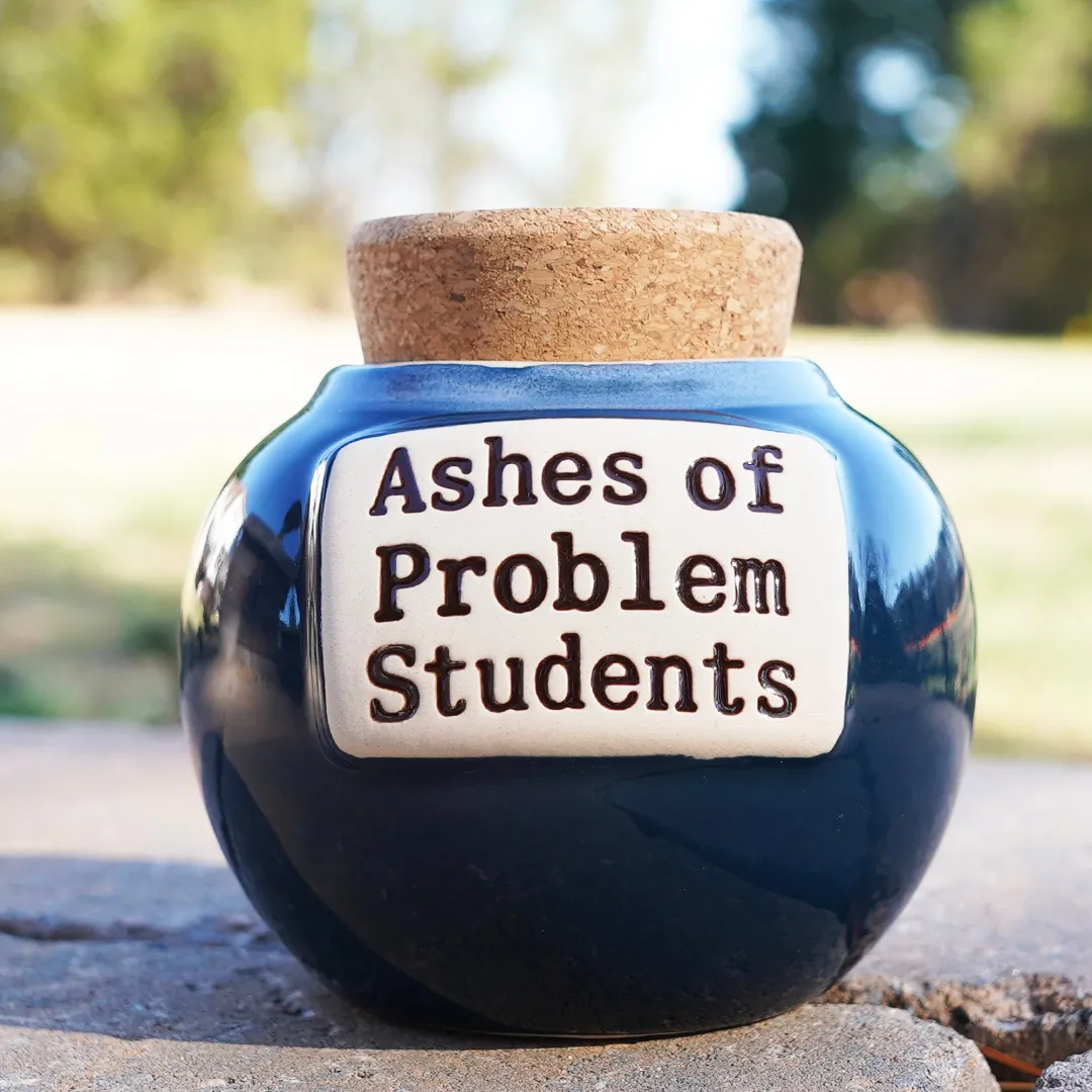 🔥Hot Sale🔥🤣Ashes of Problem Clients Piggy Bank🎁