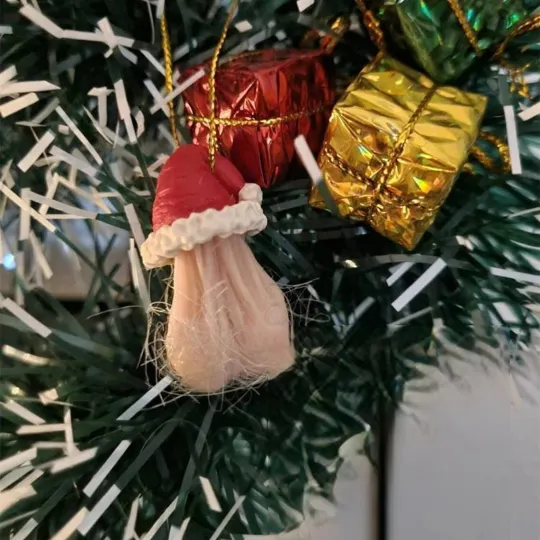 🤣Funny Egg Ornaments For Christmas