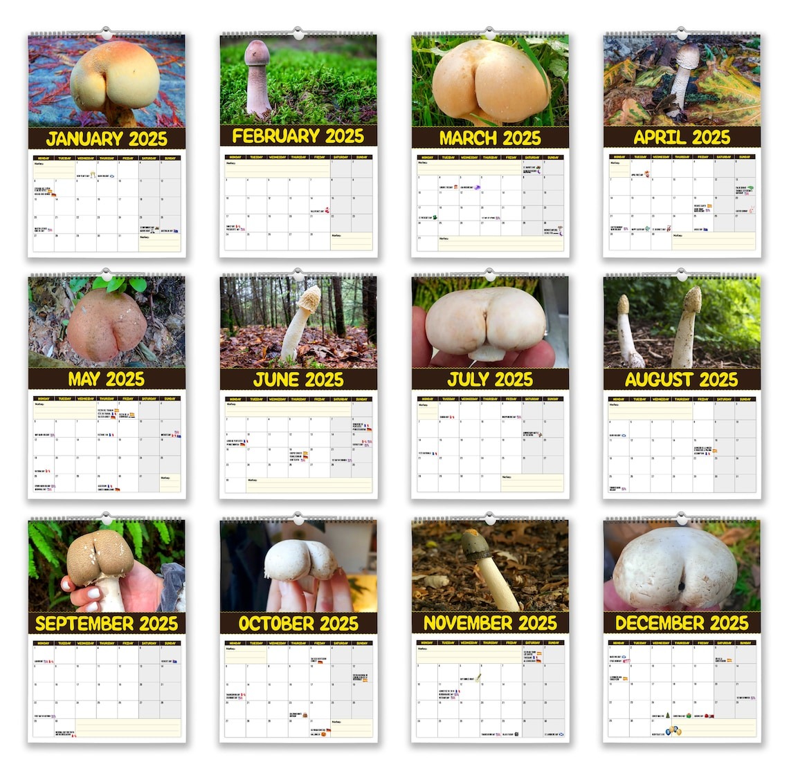 🔥 Hot Sale 50% Off🔥 Funny World's Greatest Mushrooms🍄- 2025 Wall Calendar📅