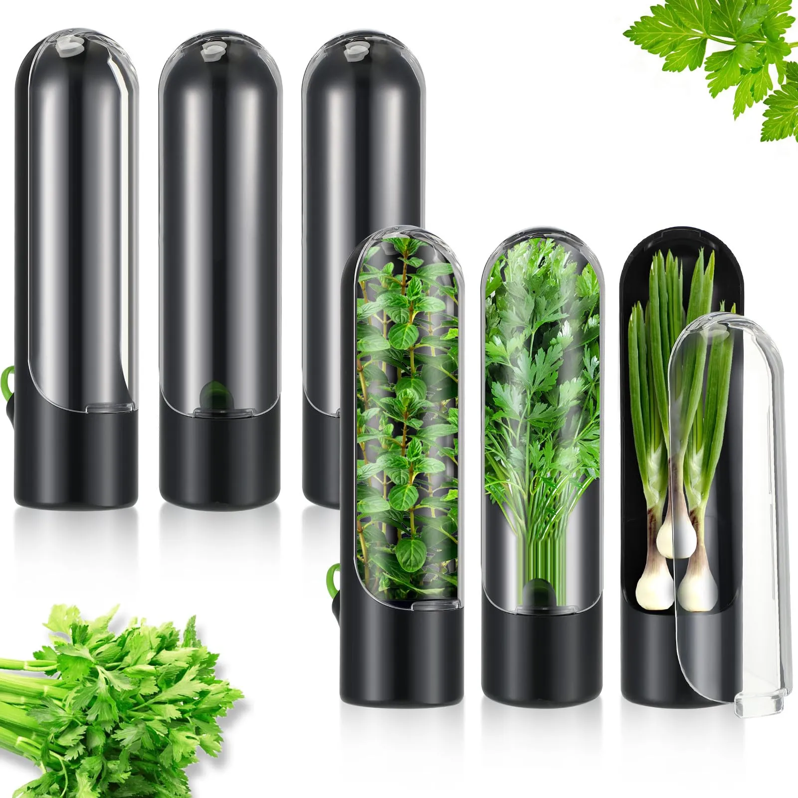 Herb-Preserving Storage Container