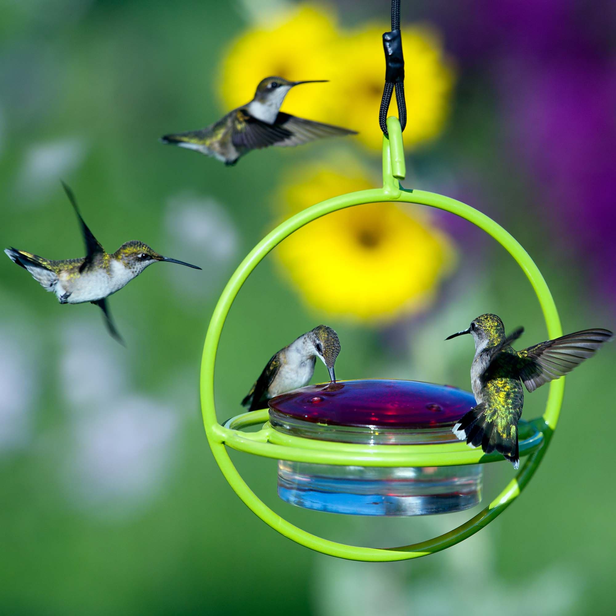 Linkable Metal and Glass Hummingbird Feeder