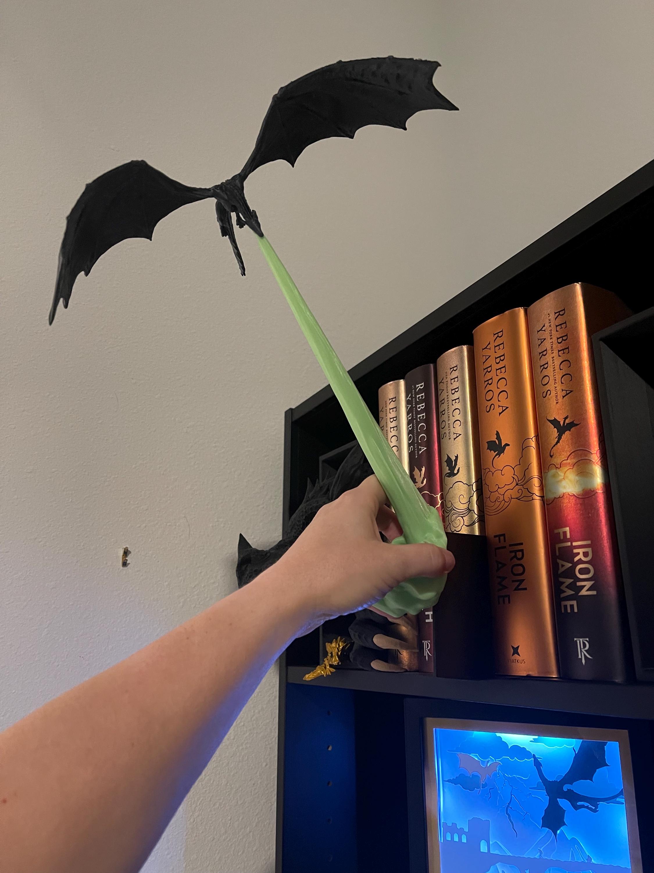 🐉Dragon Flame Book Nook