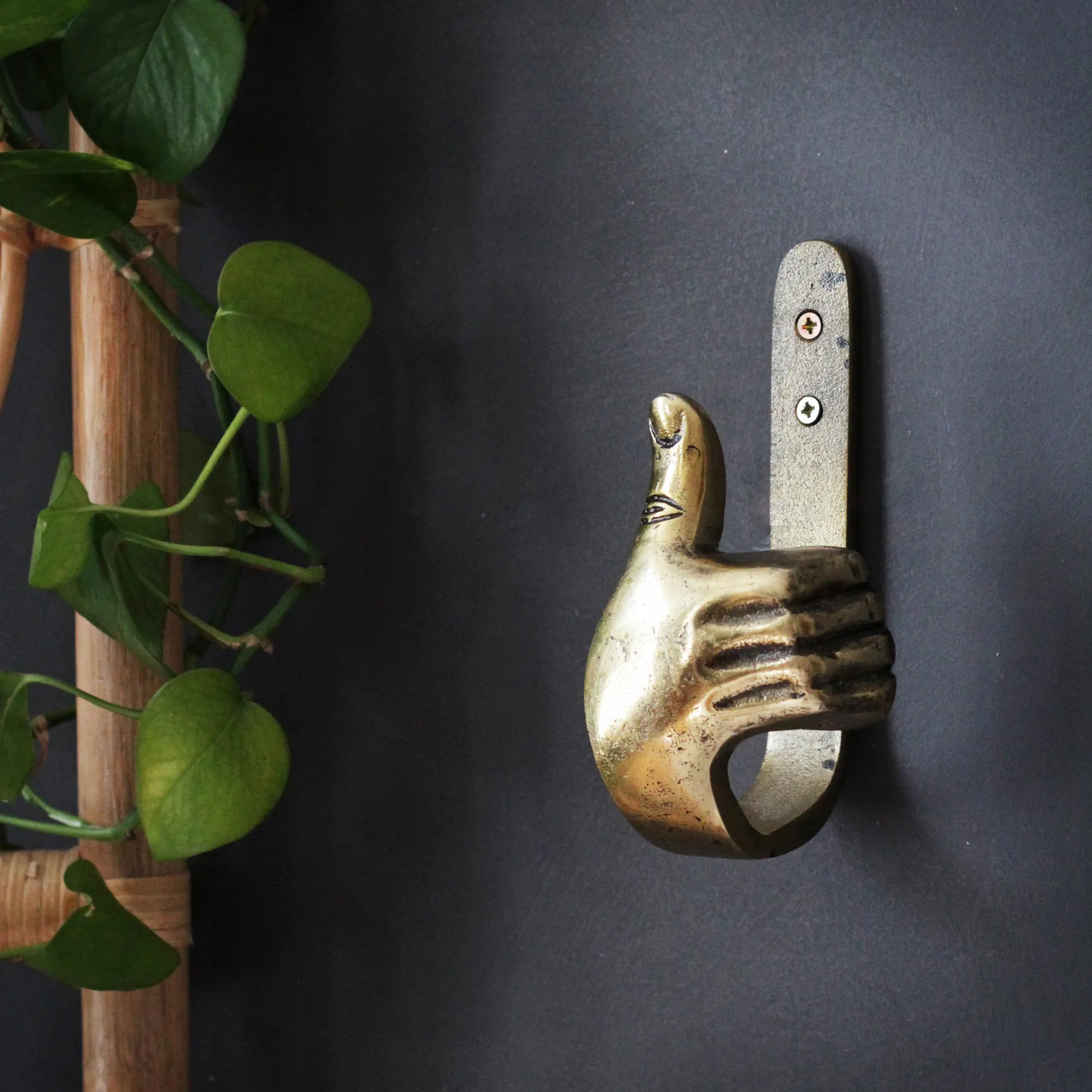 🖕Funny Metal Hand Hooks