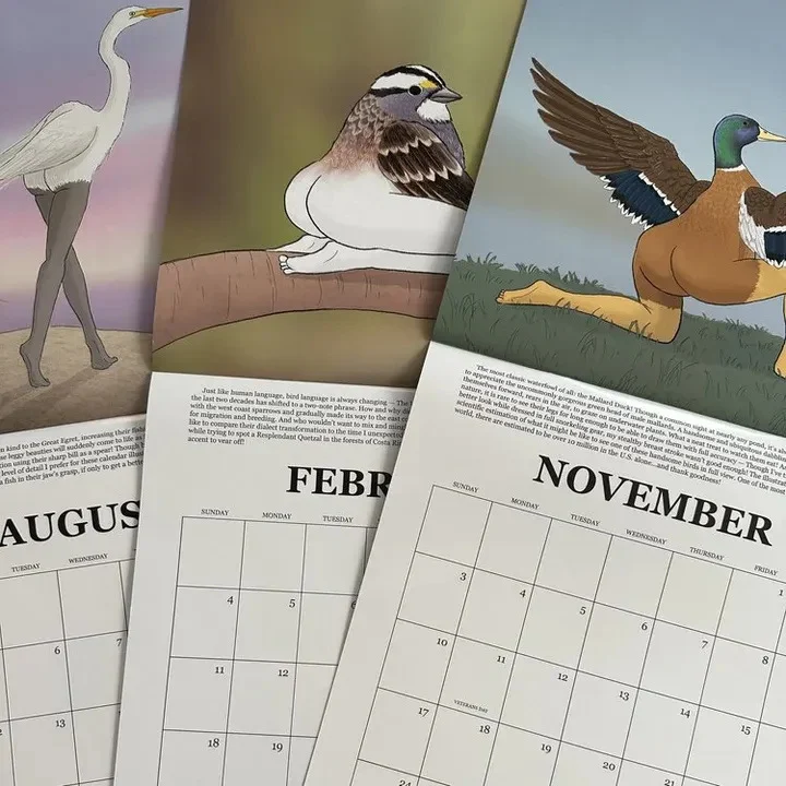 2025 Wall Calendar Extremely Accurate Birds🐦