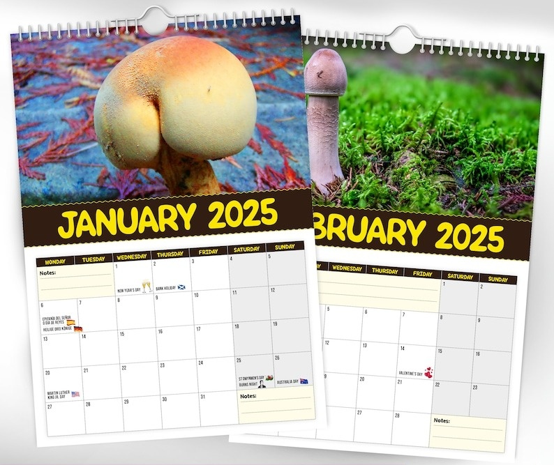 🔥 Hot Sale 50% Off🔥 Funny World's Greatest Mushrooms🍄- 2025 Wall Calendar📅
