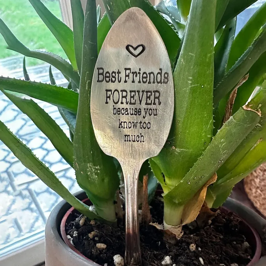 🌱Garden Marker Friendship Gift