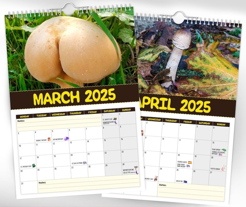 🔥 Hot Sale 50% Off🔥 Funny World's Greatest Mushrooms🍄- 2025 Wall Calendar📅