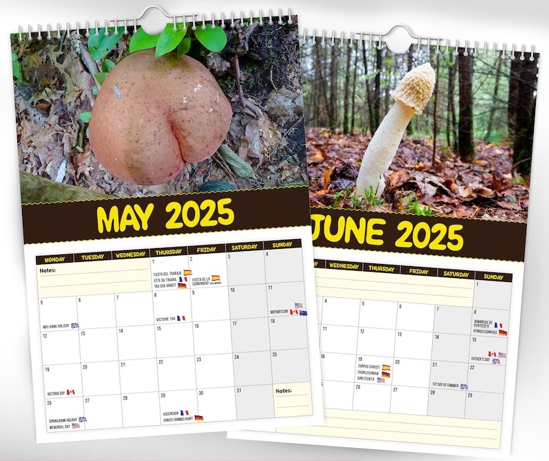 🔥 Hot Sale 50% Off🔥 Funny World's Greatest Mushrooms🍄- 2025 Wall Calendar📅