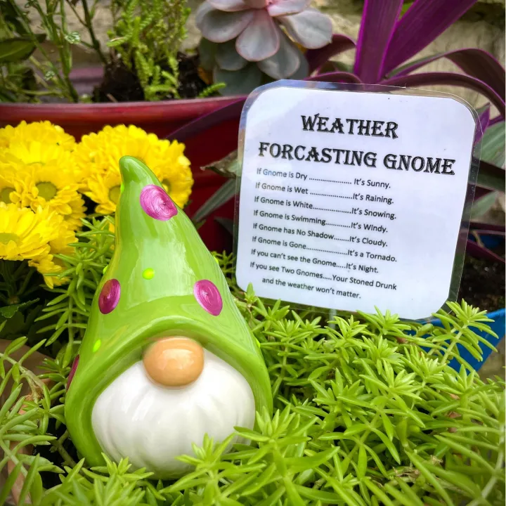 ⛅Funny Weather Forecasting Gnome