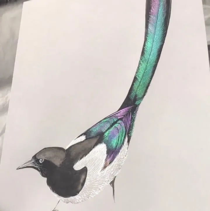 🎨20 Colors Watercolor Painting Set