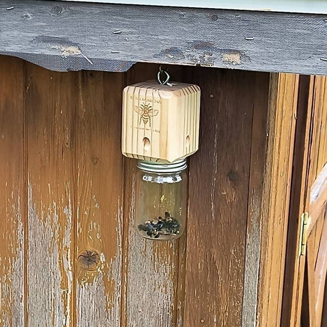 ✨Hot Sale 50% OFF--🔥Best Carpenter Bee Trap
