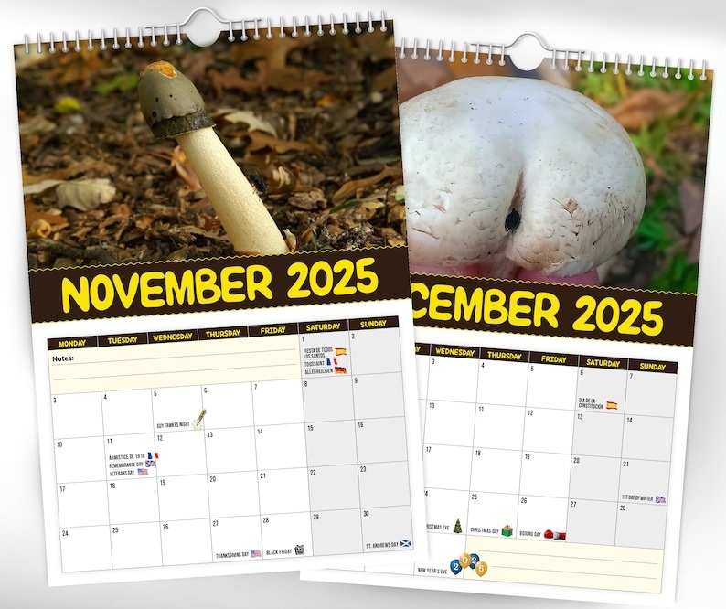 🔥 Hot Sale 50% Off🔥 Funny World's Greatest Mushrooms🍄- 2025 Wall Calendar📅