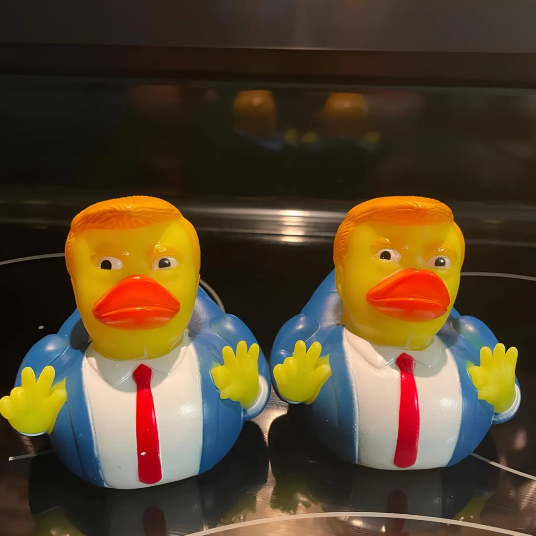 🤣Funny Double Middle Finger Ducks
