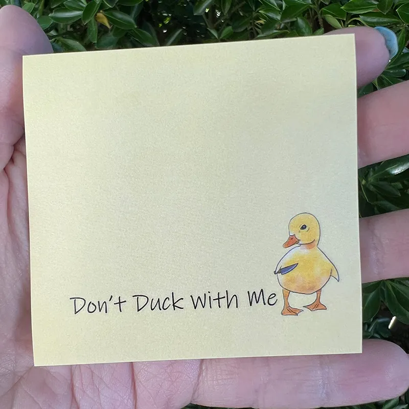 🤣Funny Sassy Duck Sticky Notes🎁