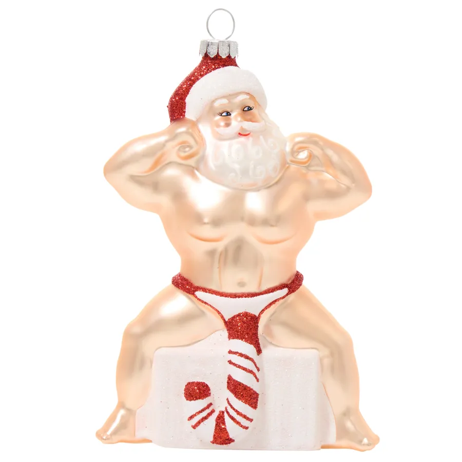 🤣Funny Claus Christmas Ornament(6")