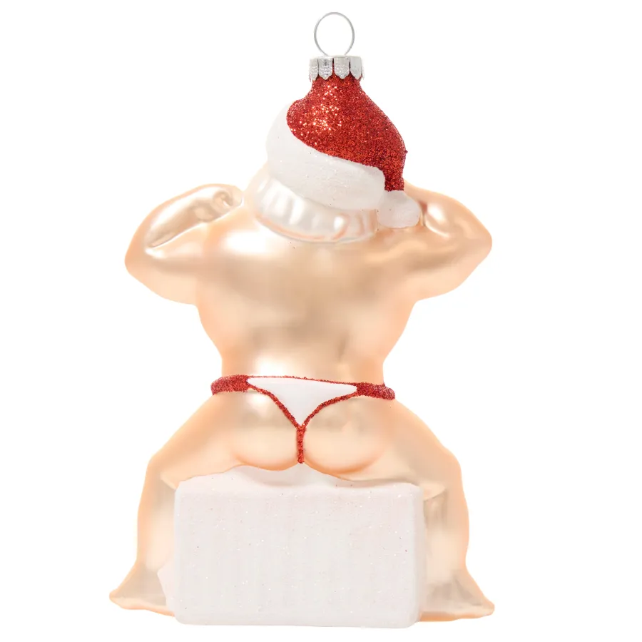 🤣Funny Claus Christmas Ornament(6")