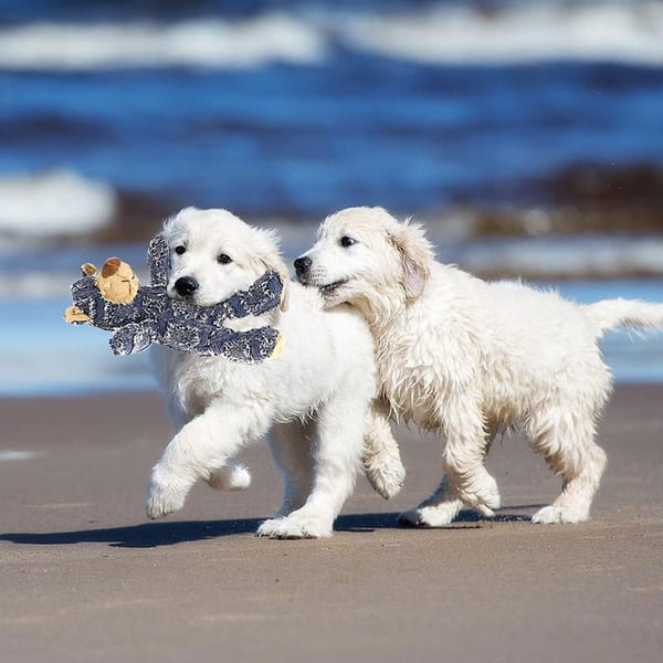 💥New Year's Sale 60% OFF💥Pet Chewing Toy Bear🐻