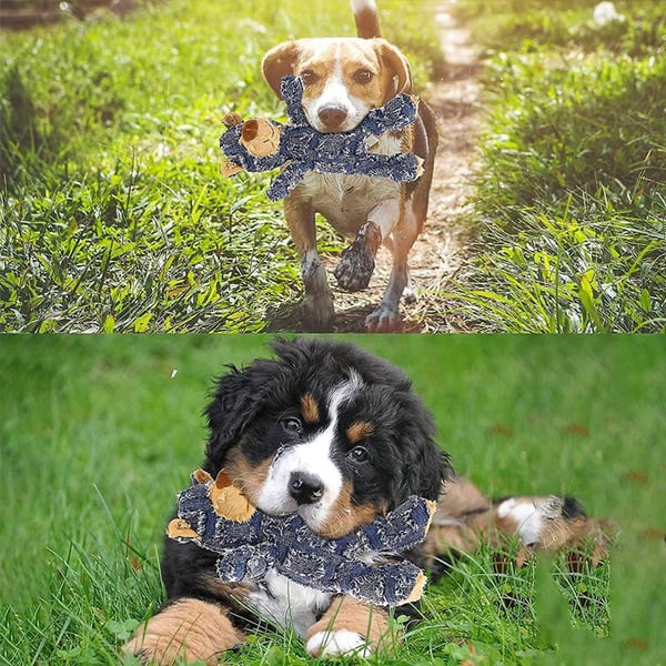 💥New Year's Sale 60% OFF💥Pet Chewing Toy Bear🐻