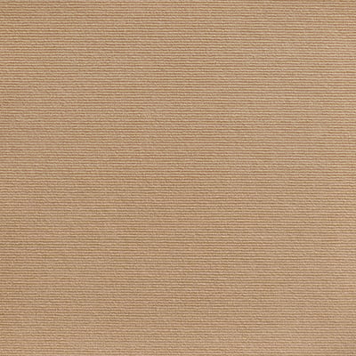 💥New Year's Sale 60% OFF💥Can Protect Furniture - Cat Scratching Mat