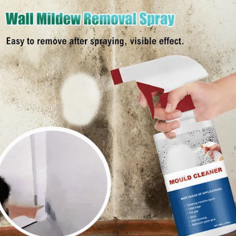 💥New Year's Sale 60% OFF💥Mold and Mildew Cleaner🧴🦠