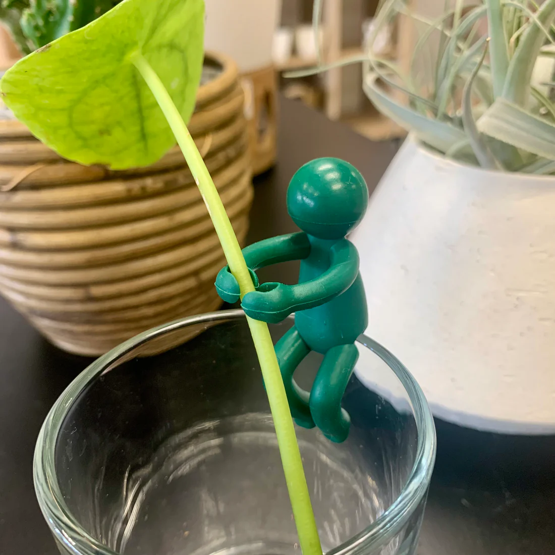 🌱Plant Propagation Buddy