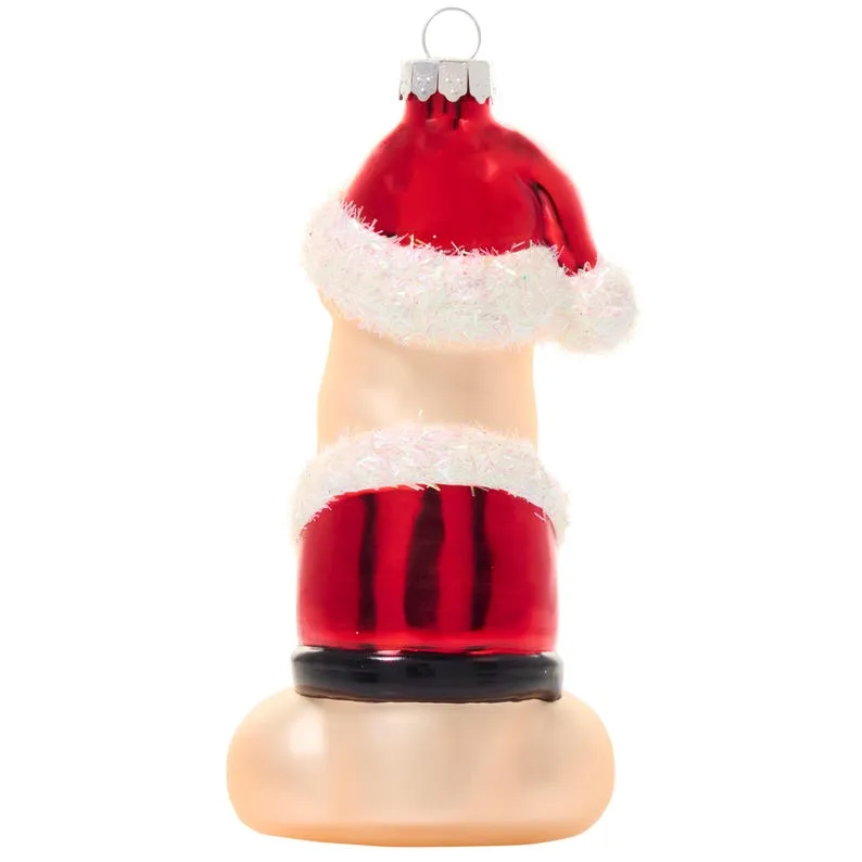 🤣Funny Claus Christmas Ornament(6")