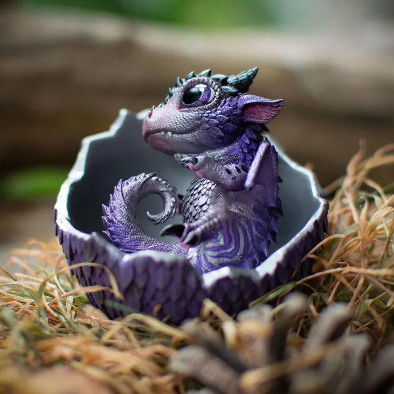 🐲🥚Dragon Hatchling