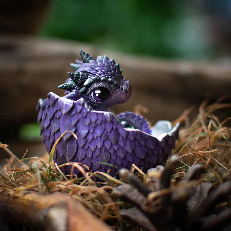 🐲🥚Dragon Hatchling