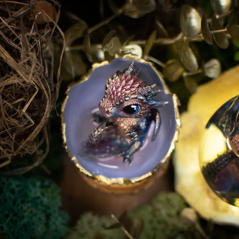 🐲🥚Dragon Hatchling