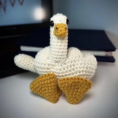 The Duck-You Crochet Goose