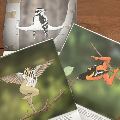 2025 Extremely Accurate Bird Calendar🐦