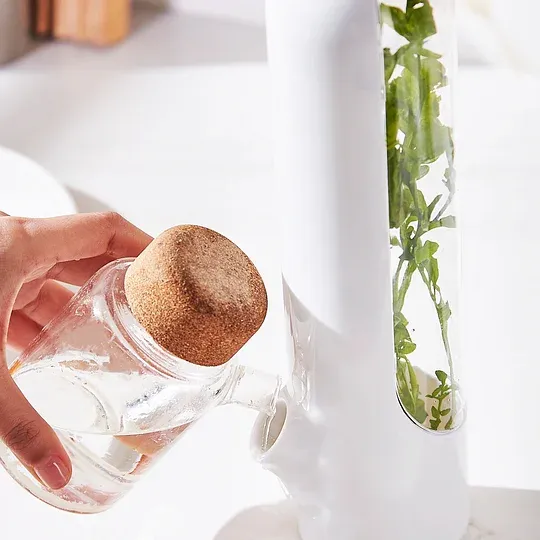 Herb-Preserving Storage Container