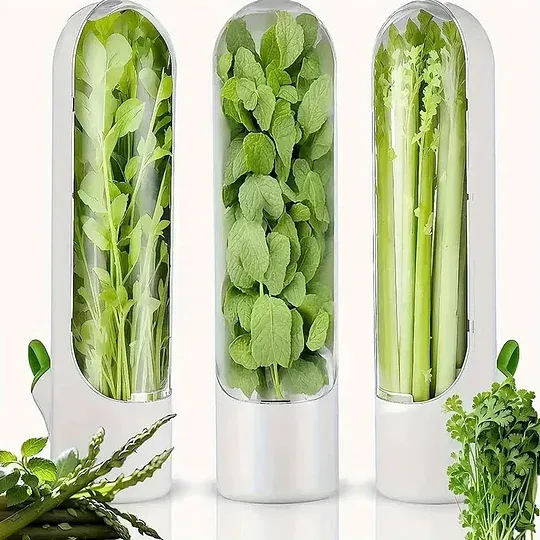 Herb-Preserving Storage Container