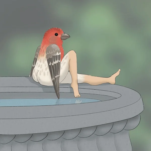 2025 CALENDAR OF EXTREMELY ACCURATE BIRDS 🐦