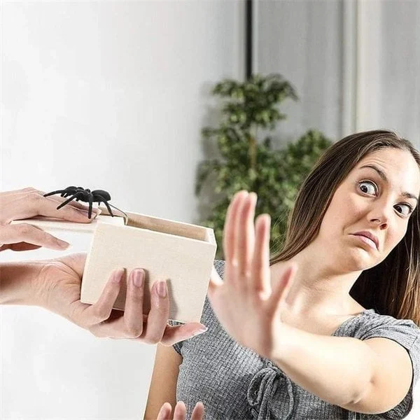 🤣Super Funny Crazy Prank Gift Box Spider