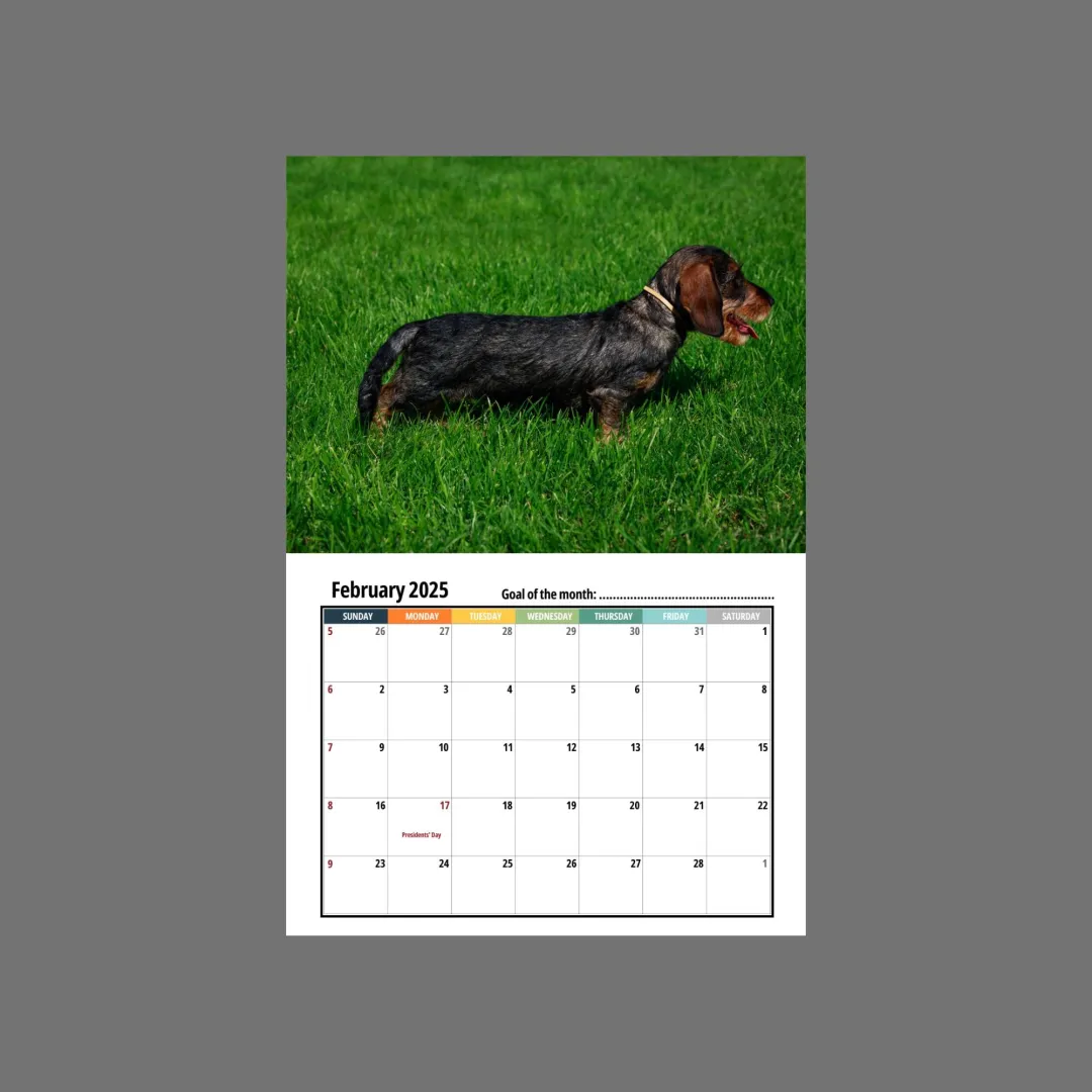 🦴🐶2025 Dachshund Wall Calendar
