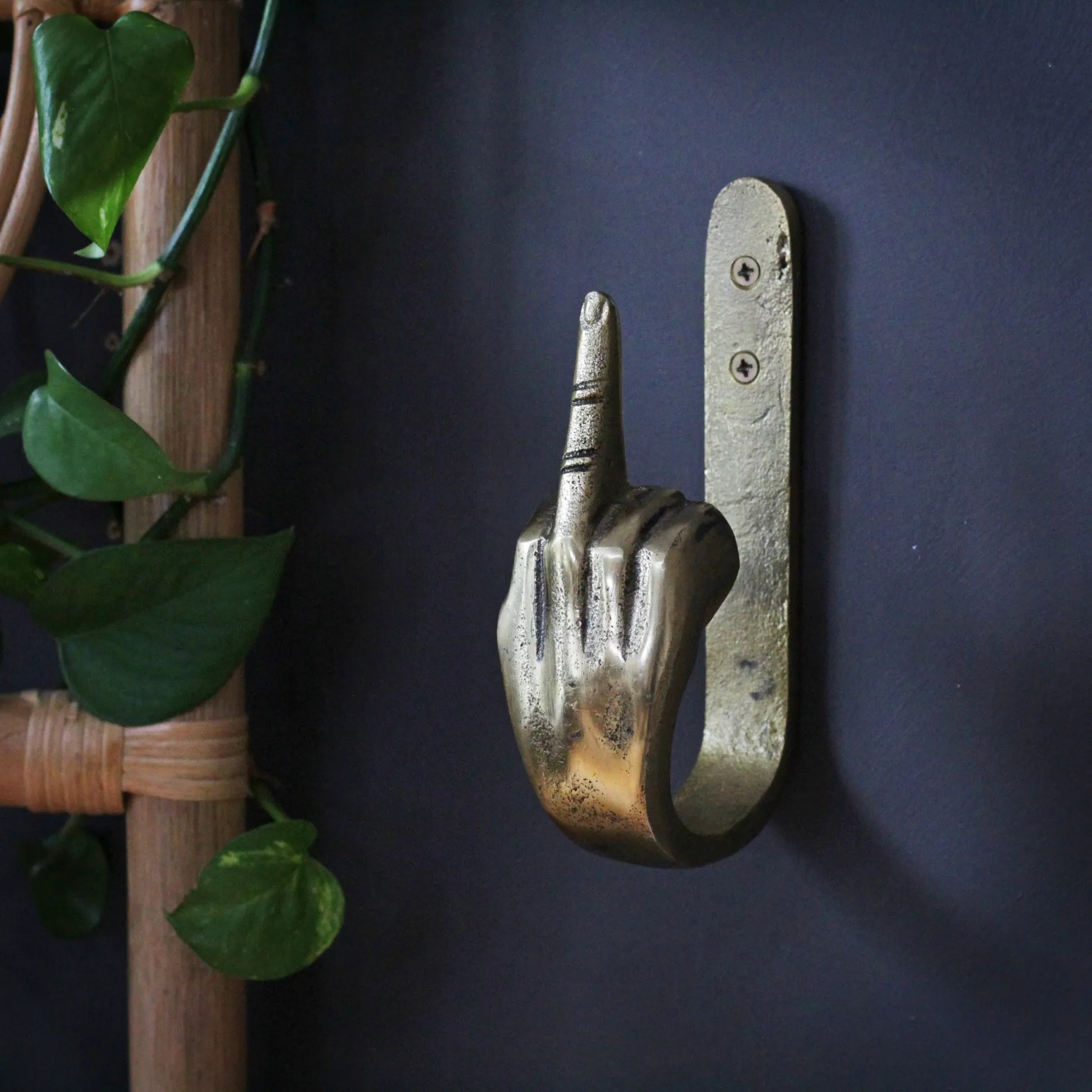 🖕Funny Metal Hand Hooks