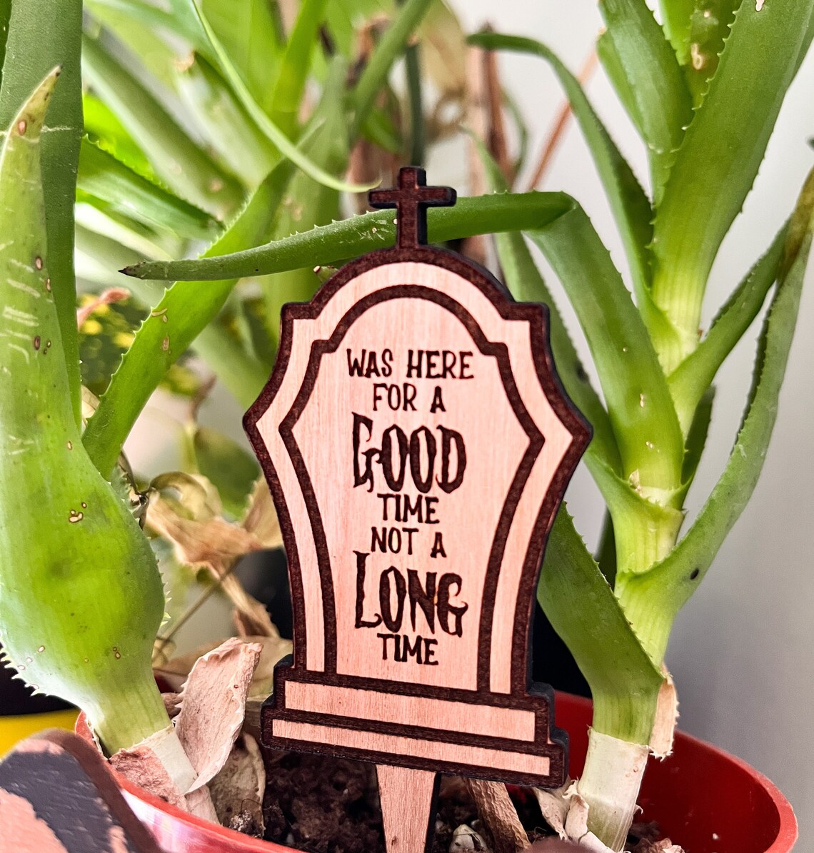 🪦万圣节趣味墓碑植物桩🤣