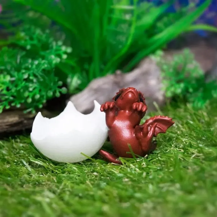 🐲Newborn Dragon In Egg
