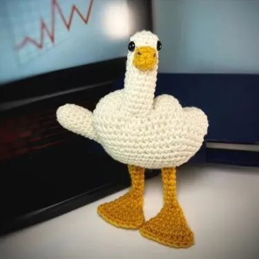 The Duck-You Crochet Goose