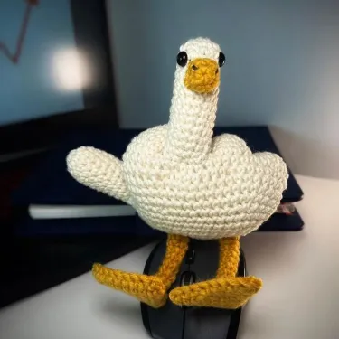 The Duck-You Crochet Goose