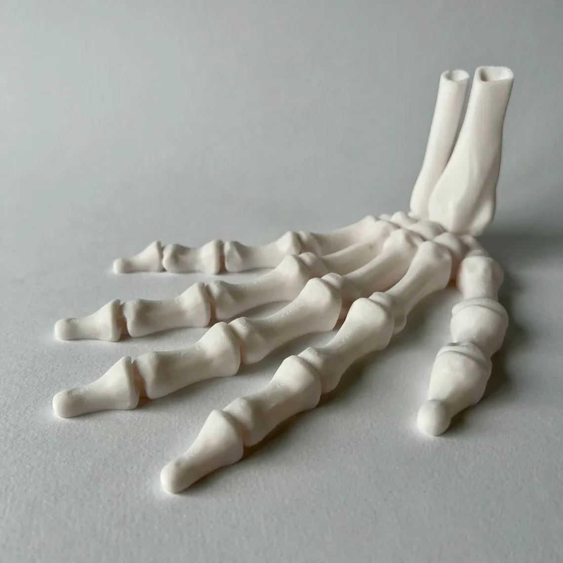 3D Printed Bone Hand🦴