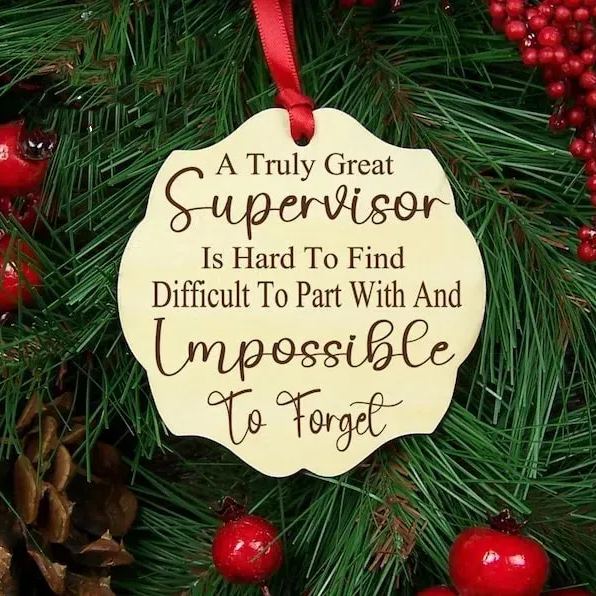 🎄Funny Christmas Ornament Gift🎁