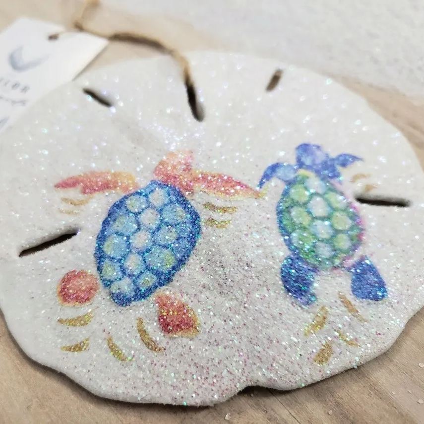Ocean Sand Dollar Decoration
